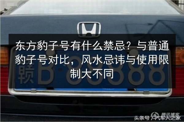 东方豹子号有什么禁忌？与普通豹子号对比，风水忌讳与使用限制大不同