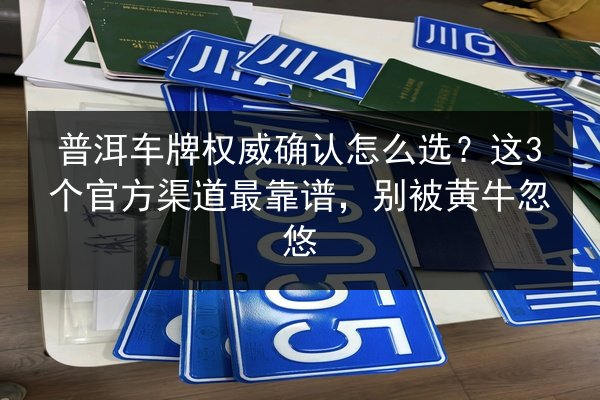 普洱车牌权威确认怎么选？这3个官方渠道最靠谱，别被黄牛忽悠 第3张