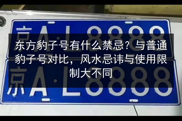 东方豹子号有什么禁忌？与普通豹子号对比，风水忌讳与使用限制大不同 第2张