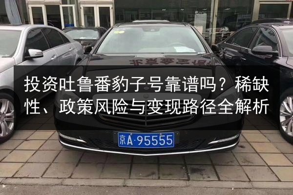 投资吐鲁番豹子号靠谱吗？稀缺性、政策风险与变现路径全解析