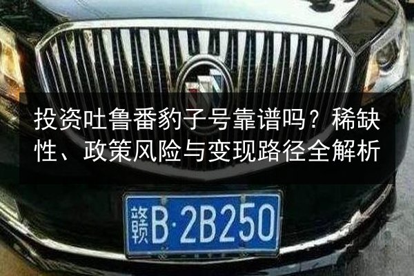 投资吐鲁番豹子号靠谱吗?稀缺性、政策风险与变现路径全解析 第2张 投资吐鲁番豹子号靠谱吗?稀缺性、政策风险与变现路径全解析 第2张