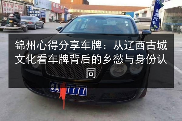 锦州心得分享车牌：从辽西古城文化看车牌背后的乡愁与身份认同