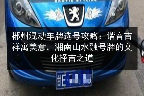 郴州混动车牌选号攻略：谐音吉祥寓美意，湘南山水融号牌的文化择吉之道