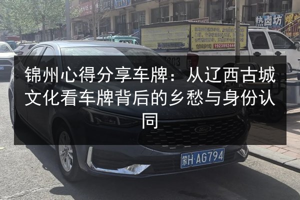 锦州心得分享车牌:从辽西古城文化看车牌背后的乡愁与身份认同 第3张 锦州心得分享车牌:从辽西古城文化看车牌背后的乡愁与身份认同 第3张
