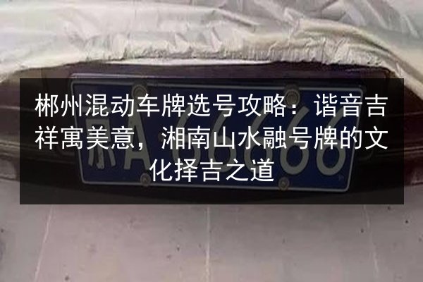 郴州混动车牌选号攻略:谐音吉祥寓美意,湘南山水融号牌的文化择吉之道 第2张 郴州混动车牌选号攻略:谐音吉祥寓美意,湘南山水融号牌的文化择吉之道 第2张