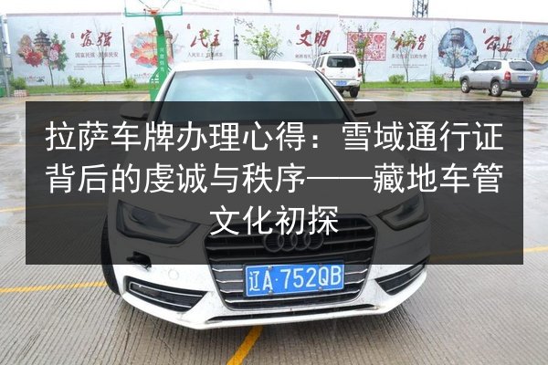 拉萨车牌办理心得：雪域通行证背后的虔诚与秩序——藏地车管文化初探