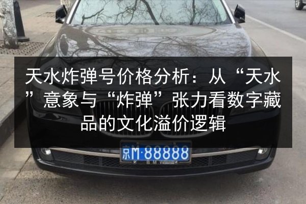 天水炸弹号价格分析:从“天水”意象与“炸弹”张力看数字藏品的文化溢价逻辑 第2张 天水炸弹号价格分析:从“天水”意象与“炸弹”张力看数字藏品的文化溢价逻辑 第2张