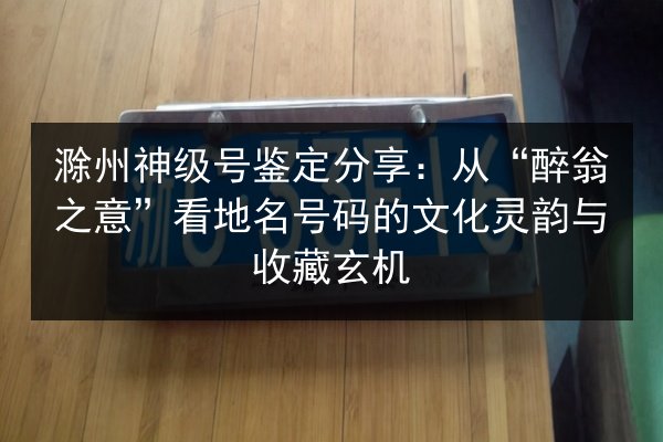 滁州神级号鉴定分享:从“醉翁之意”看地名号码的文化灵韵与收藏玄机 第2张 滁州神级号鉴定分享:从“醉翁之意”看地名号码的文化灵韵与收藏玄机 第2张