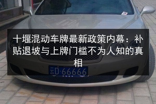 十堰混动车牌最新政策内幕：补贴退坡与上牌门槛不为人知的真相 第2张