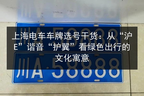 上海电车车牌选号干货:从“沪E”谐音“护翼”看绿色出行的文化寓意 第2张 上海电车车牌选号干货:从“沪E”谐音“护翼”看绿色出行的文化寓意 第2张