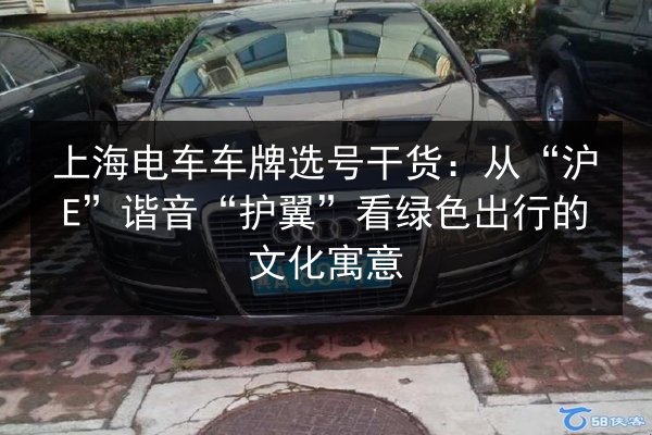 上海电车车牌选号干货:从“沪E”谐音“护翼”看绿色出行的文化寓意 第3张 上海电车车牌选号干货:从“沪E”谐音“护翼”看绿色出行的文化寓意 第3张