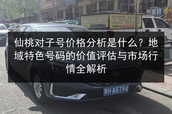 仙桃对子号价格分析是什么？地域特色号码的价值评估与市场行情全解析