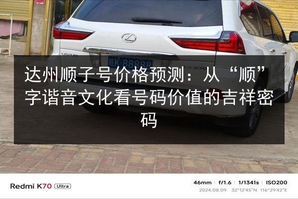 达州顺子号价格预测：从“顺”字谐音文化看号码价值的吉祥密码