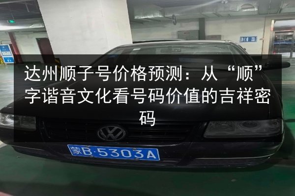 达州顺子号价格预测:从“顺”字谐音文化看号码价值的吉祥密码 第2张 达州顺子号价格预测:从“顺”字谐音文化看号码价值的吉祥密码 第2张