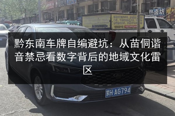 黔东南车牌自编避坑:从苗侗谐音禁忌看数字背后的地域文化雷区 第2张 黔东南车牌自编避坑:从苗侗谐音禁忌看数字背后的地域文化雷区 第2张