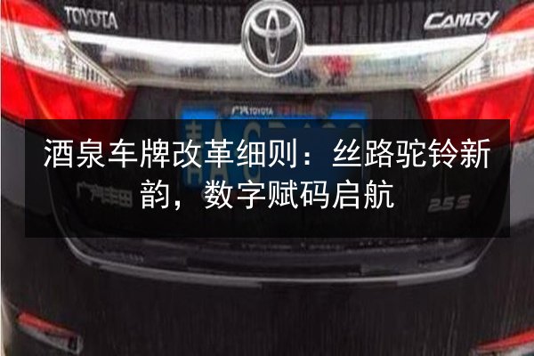 酒泉车牌改革细则：丝路驼铃新韵，数字赋码启航 第2张