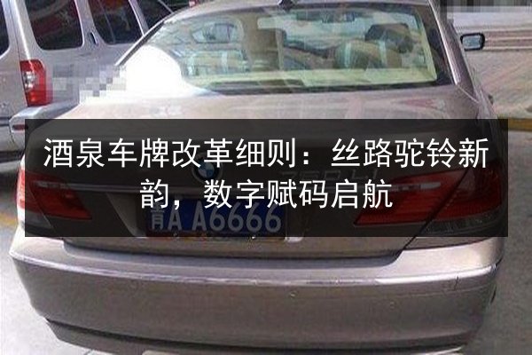 酒泉车牌改革细则：丝路驼铃新韵，数字赋码启航 第3张