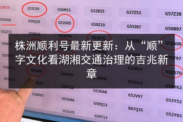 株洲顺利号最新更新：从“顺”字文化看湖湘交通治理的吉兆新章 第2张