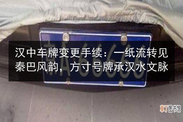 汉中车牌变更手续：一纸流转见秦巴风韵，方寸号牌承汉水文脉
