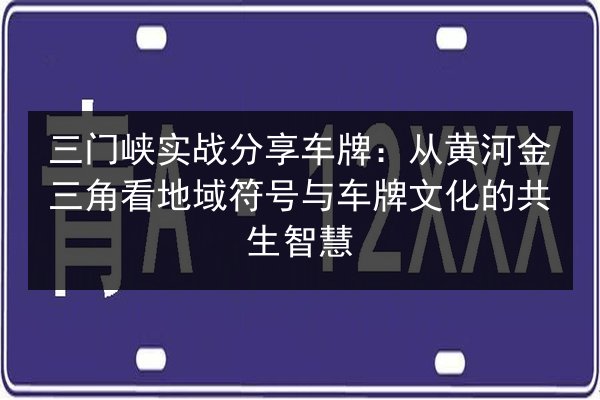 三门峡实战分享车牌：从黄河金三角看地域符号与车牌文化的共生智慧 第3张