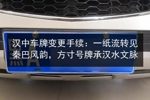 汉中车牌变更手续：一纸流转见秦巴风韵，方寸号牌承汉水文脉 第2张