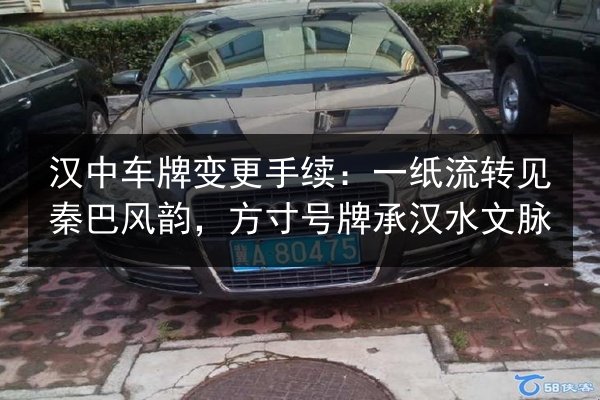 汉中车牌变更手续：一纸流转见秦巴风韵，方寸号牌承汉水文脉 第3张