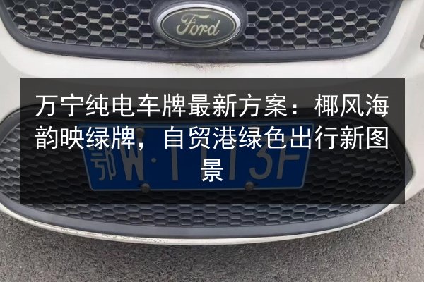 万宁纯电车牌最新方案：椰风海韵映绿牌，自贸港绿色出行新图景
