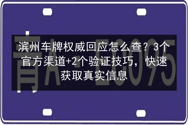 滨州车牌权威回应怎么查？3个官方渠道+2个验证技巧，快速获取真实信息