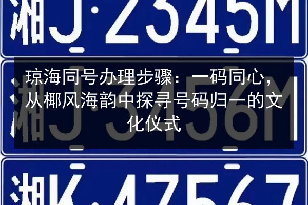 琼海同号办理步骤：一码同心，从椰风海韵中探寻号码归一的文化仪式 第2张