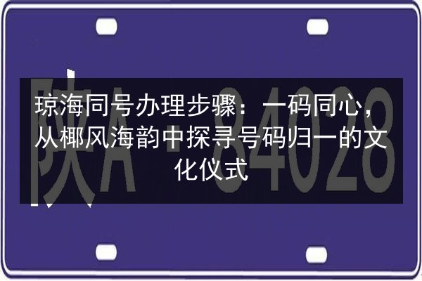 琼海同号办理步骤：一码同心，从椰风海韵中探寻号码归一的文化仪式 第3张