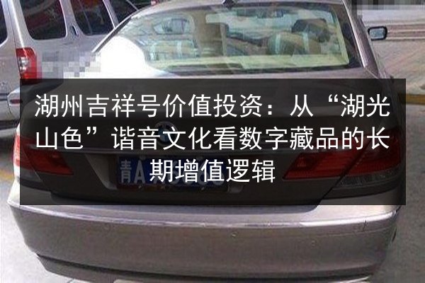 湖州吉祥号价值投资：从“湖光山色”谐音文化看数字藏品的长期增值逻辑 第2张