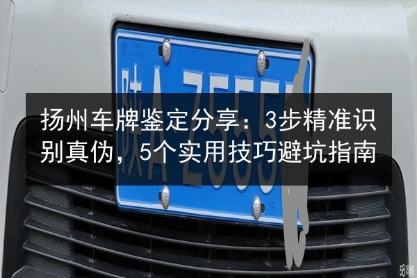 扬州车牌鉴定分享：3步精准识别真伪，5个实用技巧避坑指南