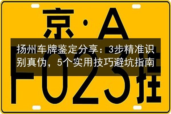 扬州车牌鉴定分享：3步精准识别真伪，5个实用技巧避坑指南 第2张