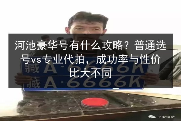 河池豪华号有什么攻略？普通选号vs专业代拍，成功率与性价比大不同 第2张