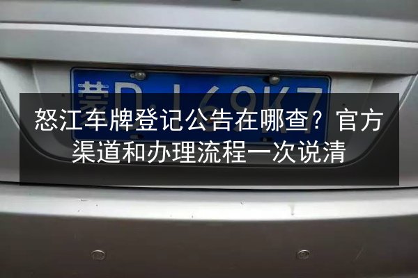 怒江车牌登记公告在哪查?官方渠道和办理流程一次说清 第2张 怒江车牌登记公告在哪查?官方渠道和办理流程一次说清 第2张