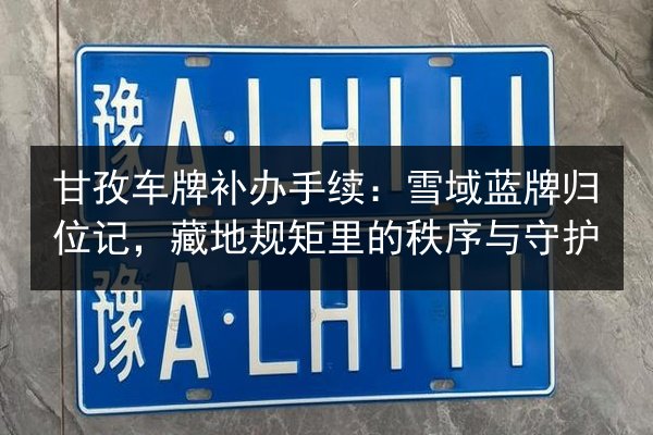 甘孜车牌补办手续：雪域蓝牌归位记，藏地规矩里的秩序与守护