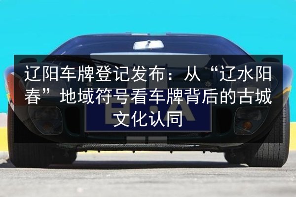 辽阳车牌登记发布：从“辽水阳春”地域符号看车牌背后的古城文化认同 第3张