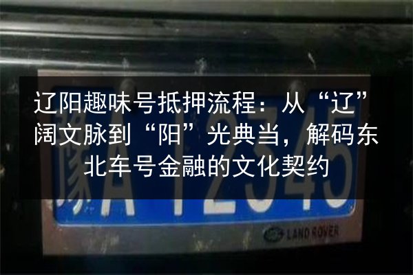 辽阳趣味号抵押流程：从“辽”阔文脉到“阳”光典当，解码东北车号金融的文化契约 第2张