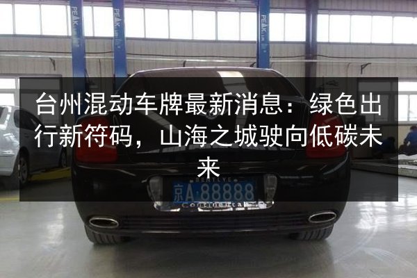 台州混动车牌最新消息：绿色出行新符码，山海之城驶向低碳未来