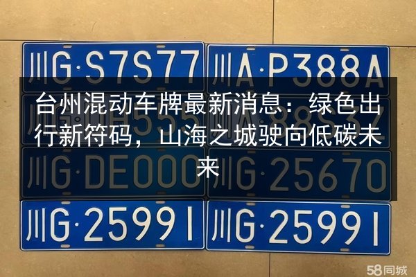 台州混动车牌最新消息：绿色出行新符码，山海之城驶向低碳未来 第2张