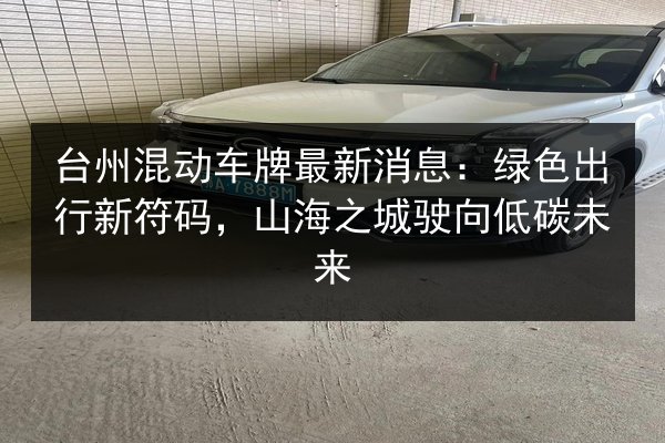 台州混动车牌最新消息：绿色出行新符码，山海之城驶向低碳未来 第3张