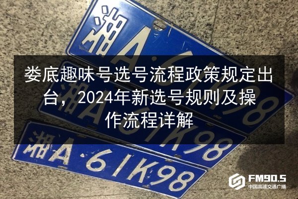 娄底趣味号选号流程政策规定出台，2024年新选号规则及操作流程详解 第2张