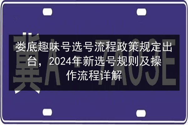 娄底趣味号选号流程政策规定出台，2024年新选号规则及操作流程详解 第3张