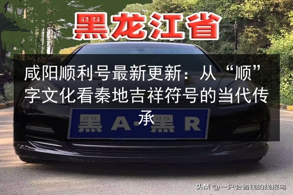 咸阳顺利号最新更新:从“顺”字文化看秦地吉祥符号的当代传承 第1张 咸阳顺利号最新更新:从“顺”字文化看秦地吉祥符号的当代传承 第1张