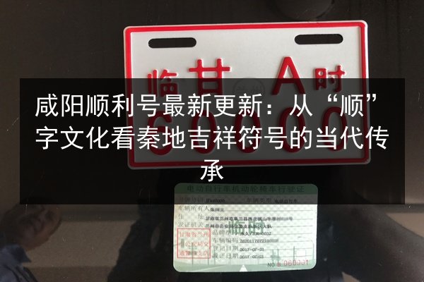 咸阳顺利号最新更新:从“顺”字文化看秦地吉祥符号的当代传承 第2张 咸阳顺利号最新更新:从“顺”字文化看秦地吉祥符号的当代传承 第2张