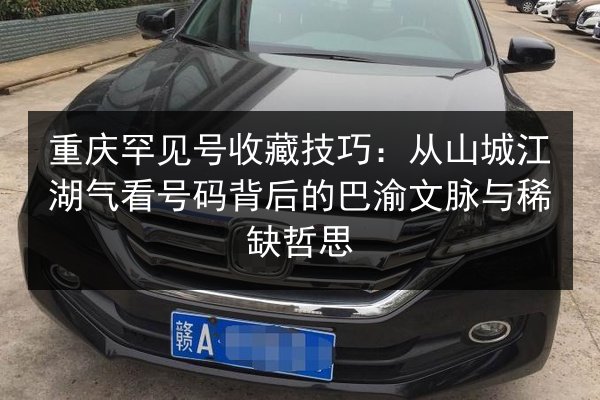 重庆罕见号收藏技巧:从山城江湖气看号码背后的巴渝文脉与稀缺哲思 第3张 重庆罕见号收藏技巧:从山城江湖气看号码背后的巴渝文脉与稀缺哲思 第3张