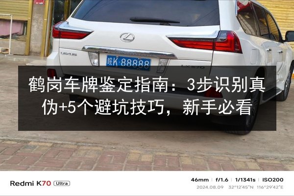 鹤岗车牌鉴定指南：3步识别真伪+5个避坑技巧，新手必看