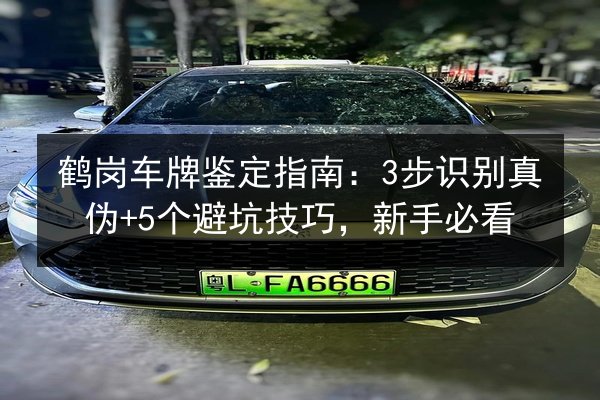 鹤岗车牌鉴定指南：3步识别真伪+5个避坑技巧，新手必看 第2张