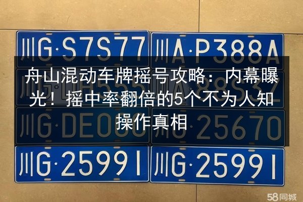 舟山混动车牌摇号攻略：内幕曝光！摇中率翻倍的5个不为人知操作真相