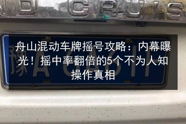 舟山混动车牌摇号攻略：内幕曝光！摇中率翻倍的5个不为人知操作真相 第2张